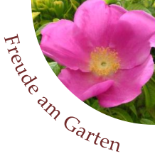 Freude am Garten