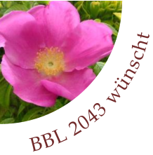 BBL 2043 wnscht